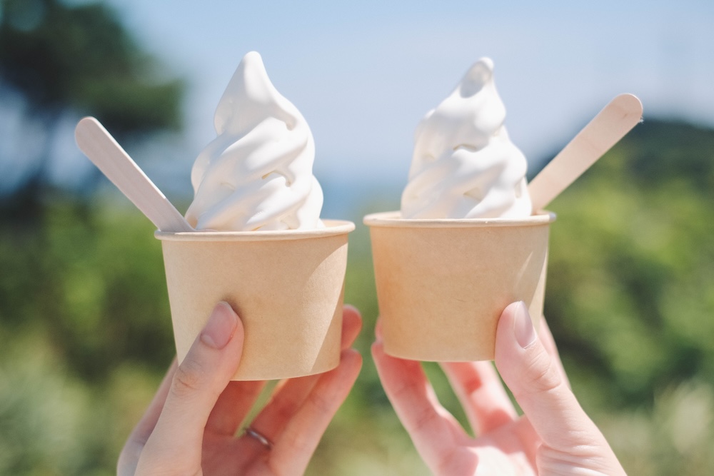 244藍寶石SAPHIR踴子列車 × 下田・南伊豆：2天1夜女子旅