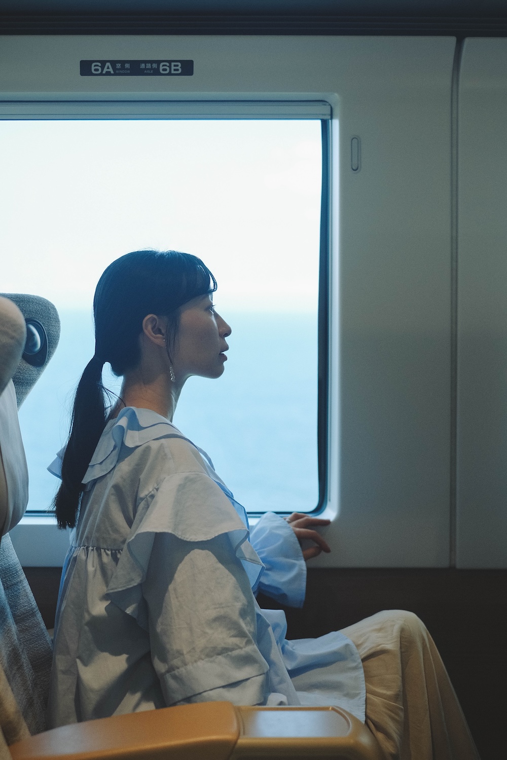 26藍寶石SAPHIR踴子列車 × 下田・南伊豆：2天1夜女子旅