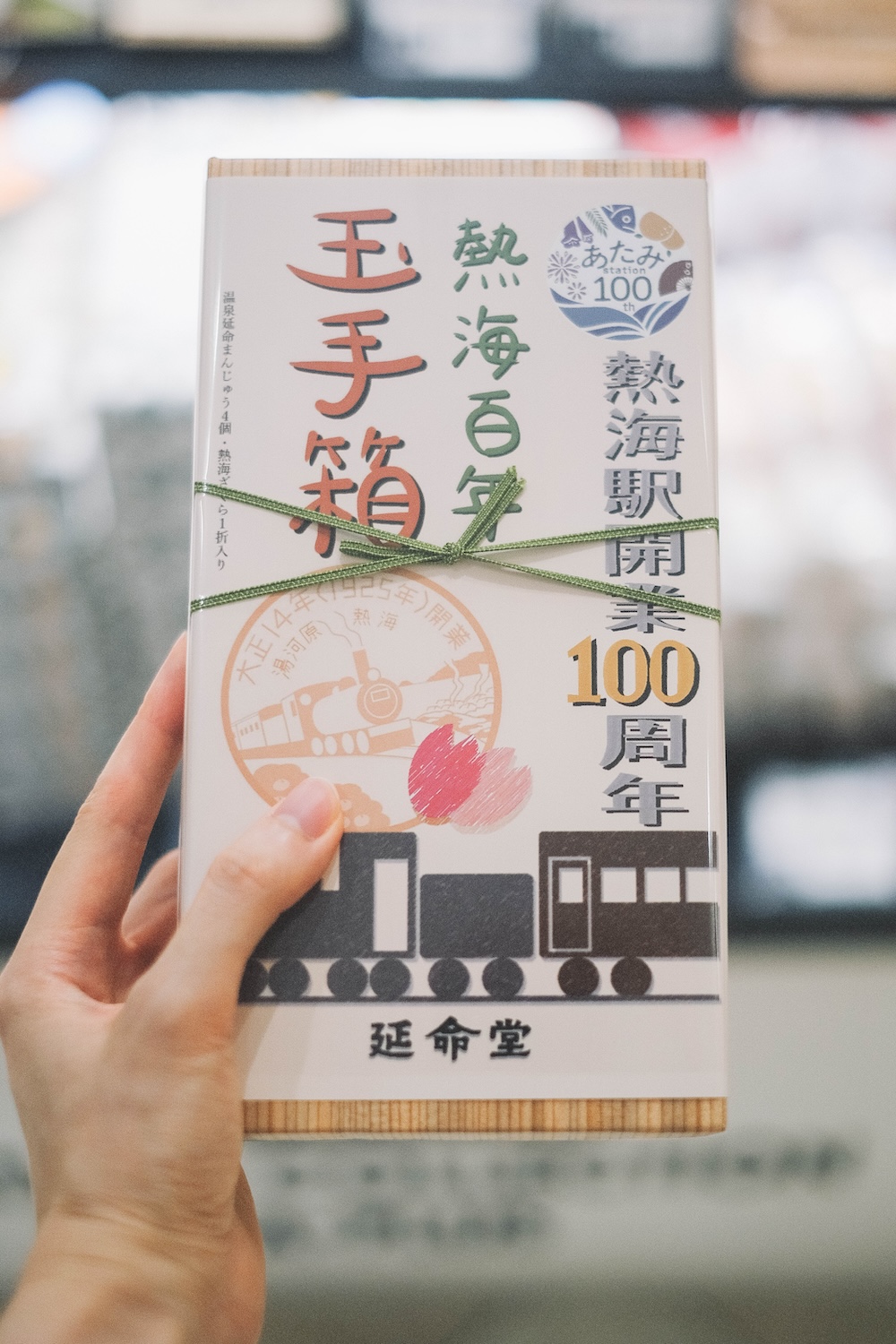 301藍寶石SAPHIR踴子列車 × 下田・南伊豆：2天1夜女子旅