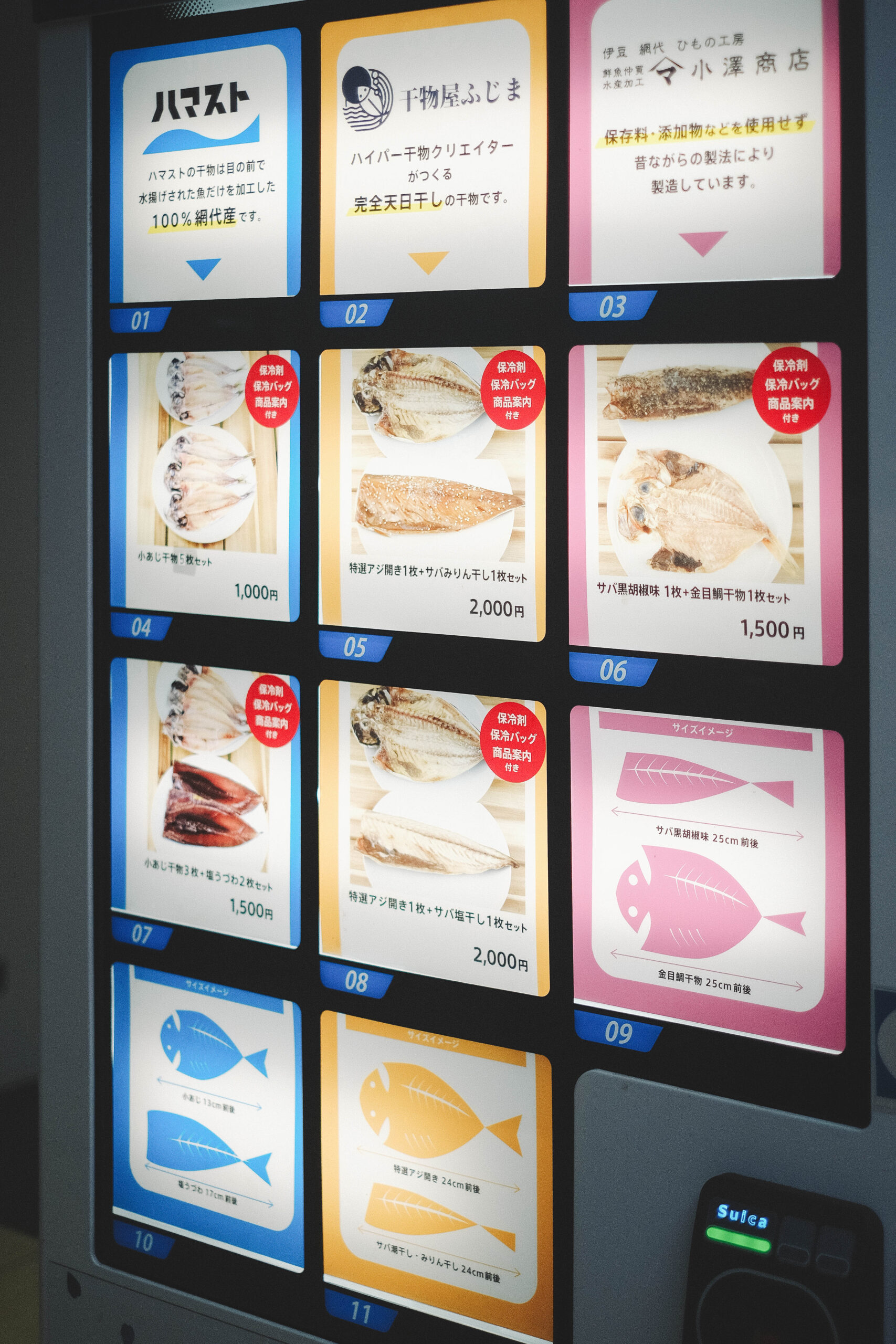 312藍寶石SAPHIR踴子列車 × 下田・南伊豆：2天1夜女子旅