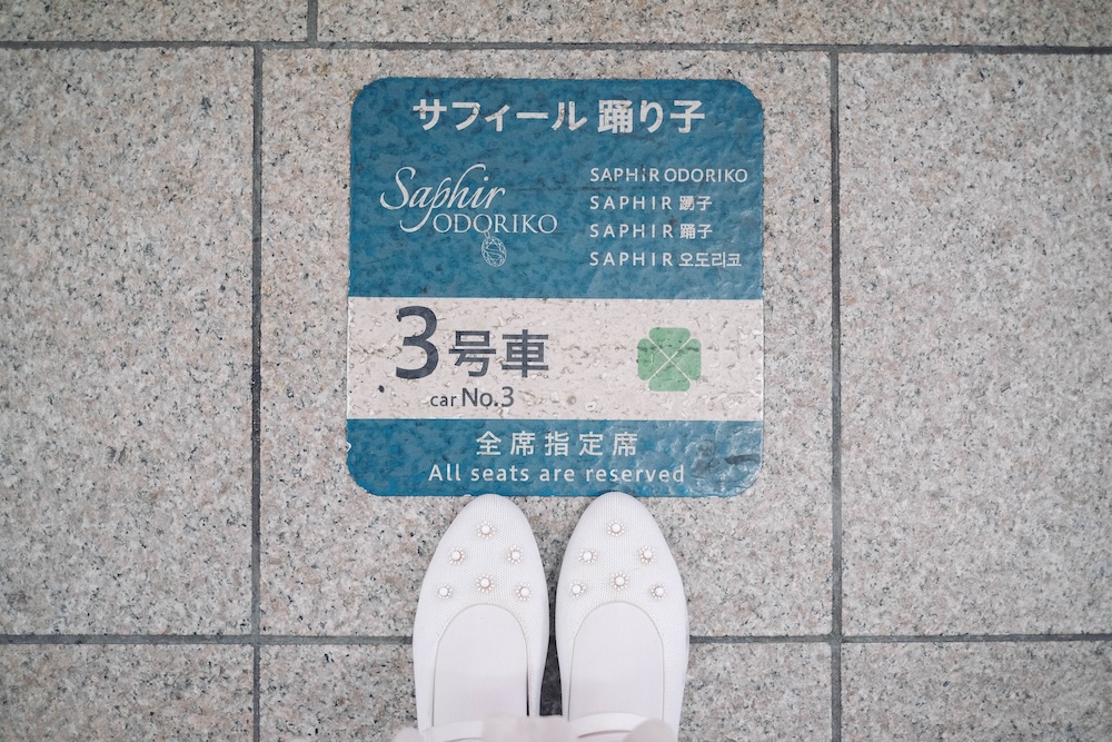 4藍寶石SAPHIR踴子列車 × 下田・南伊豆：2天1夜女子旅