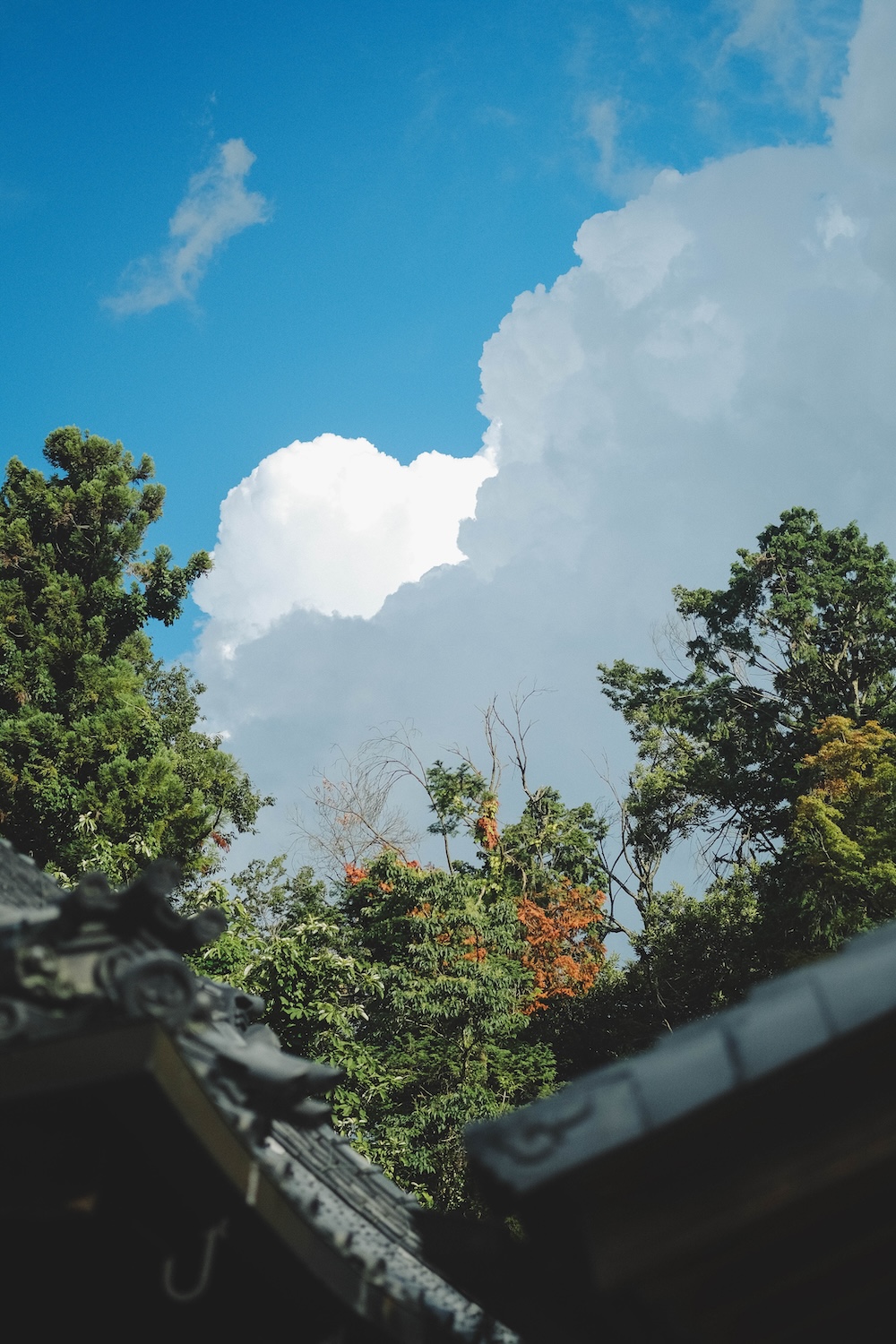 奈良生駒夏日散策｜懷舊喫茶店・可愛復古貓狗纜車・寶山寺參道・山上遊樂園浪漫夜景101