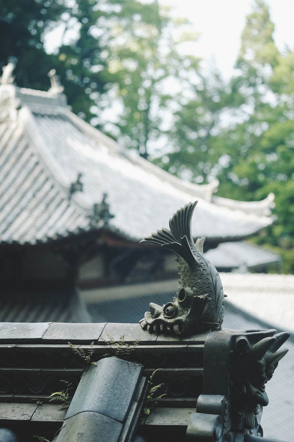 奈良生駒夏日散策｜懷舊喫茶店・可愛復古貓狗纜車・寶山寺參道・山上遊樂園浪漫夜景104
