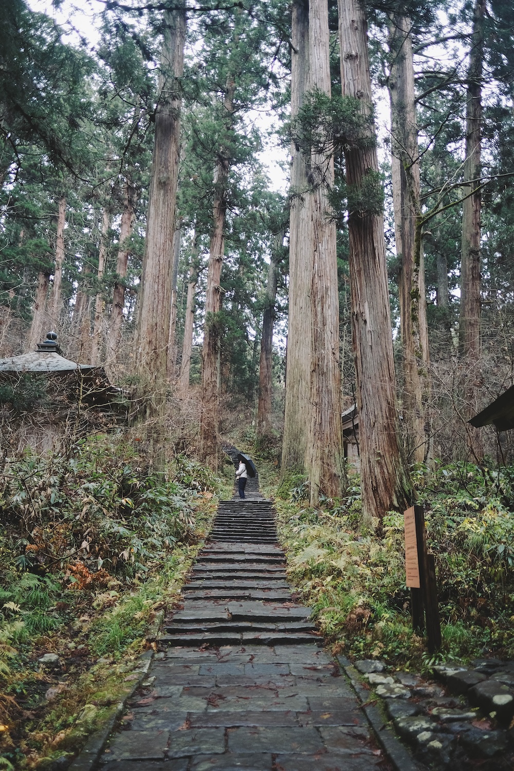 いでは文化記念館＋羽黑山五重塔＋大鳥居35