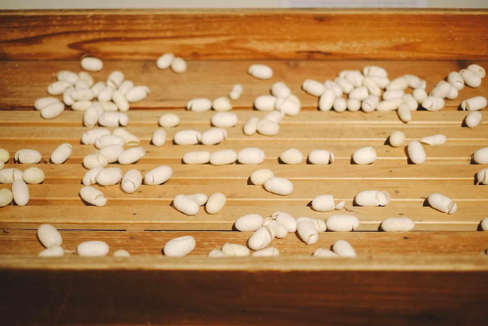 松丘開墾紀念館鶴岡／Silk SHOP & Silk未來館29