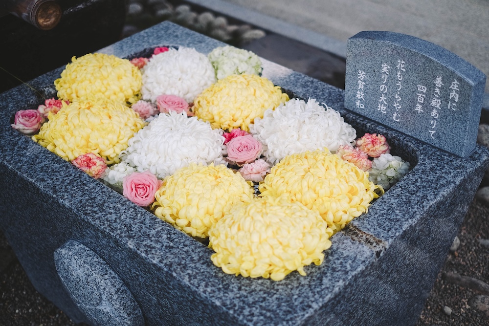 莊內神社：橘貓福丸君＆神社咖啡店「takabami」3