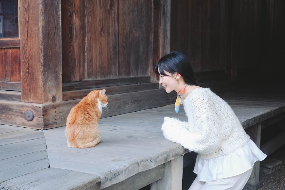 莊內神社：橘貓福丸君＆神社咖啡店「takabami」36