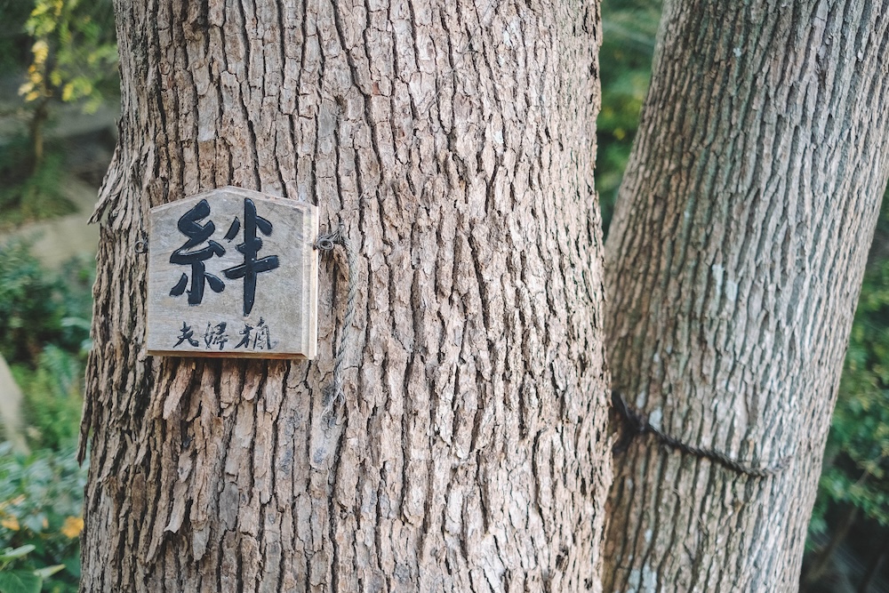 神戶須磨區・坡道散策|須磨海景坡道・山陽電車 x 沙灘絕景