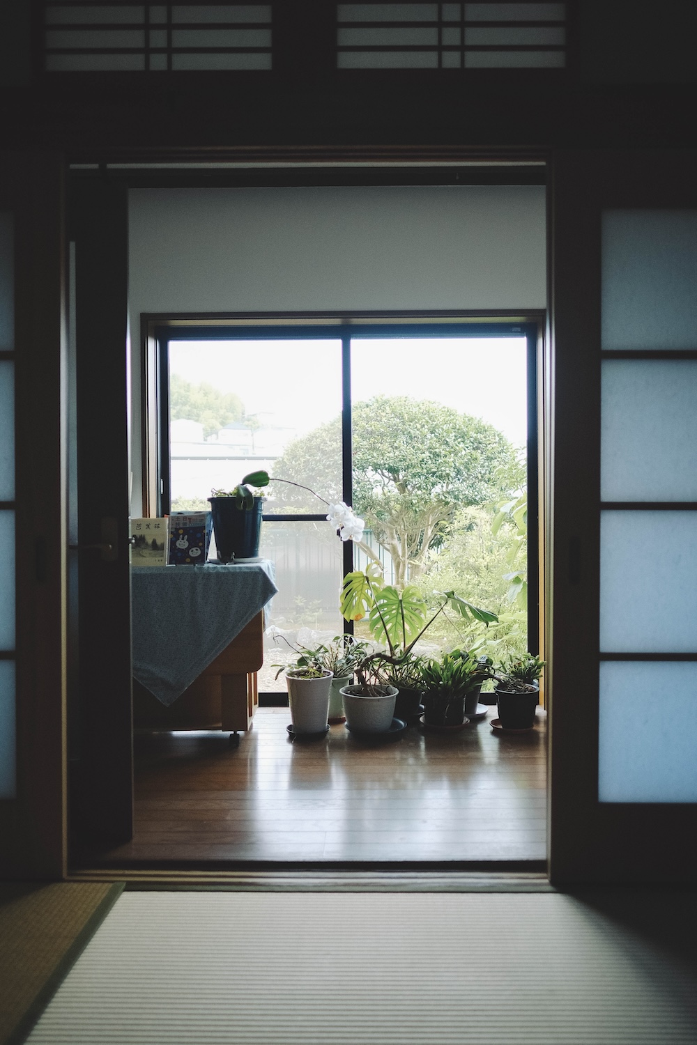 神戶小眾景點 北區鈴蘭台坡道半日遊 末広稲荷神社 神戶養蜂場56