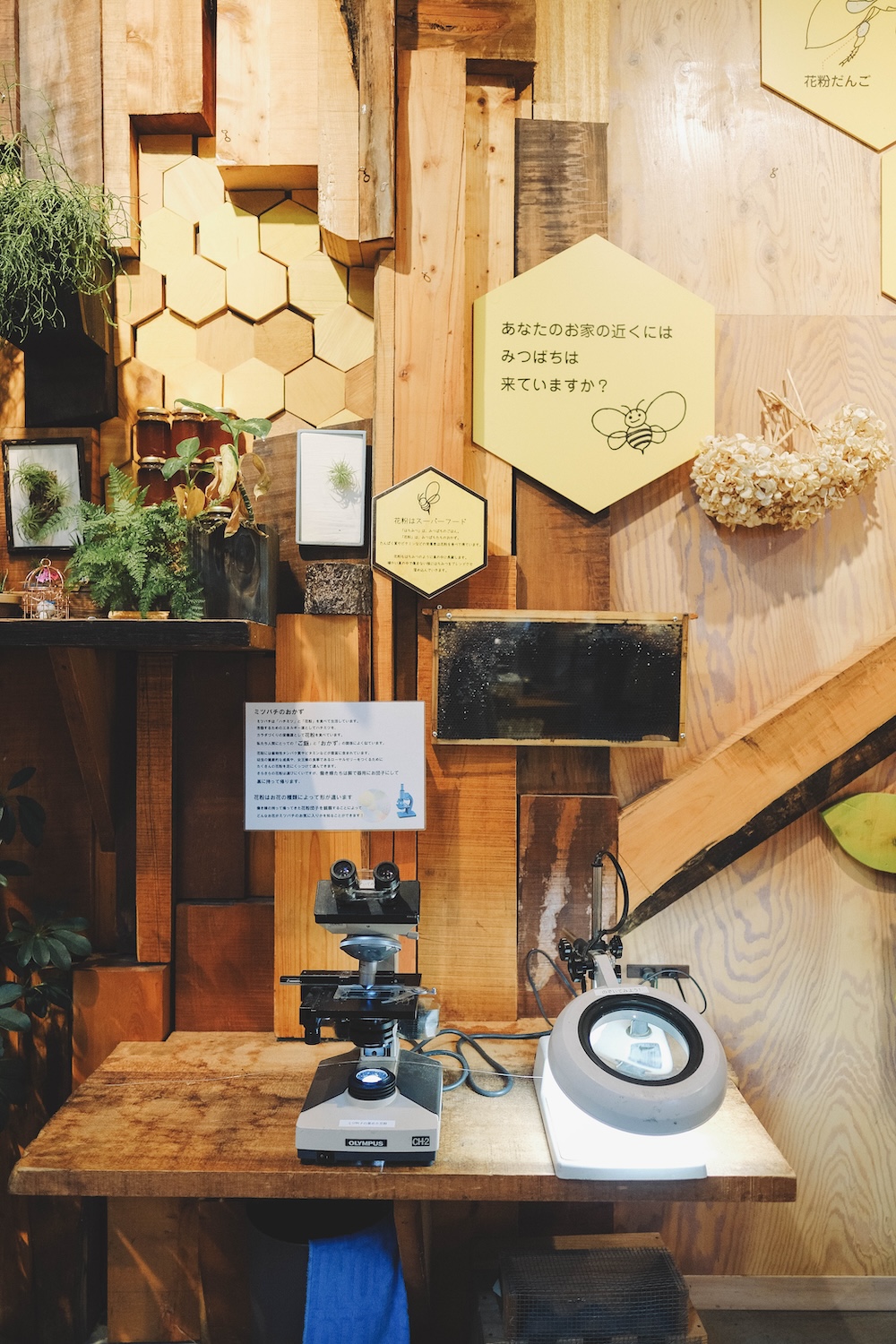 神戶小眾景點 北區鈴蘭台坡道半日遊 末広稲荷神社 神戶養蜂場65