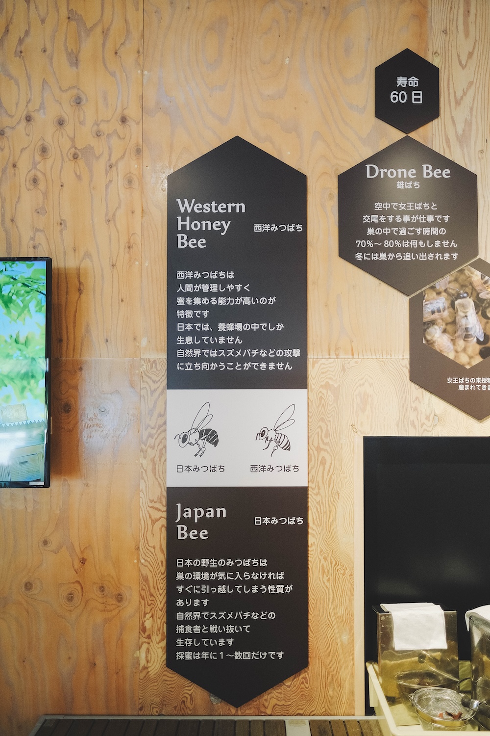 神戶小眾景點 北區鈴蘭台坡道半日遊 末広稲荷神社 神戶養蜂場67