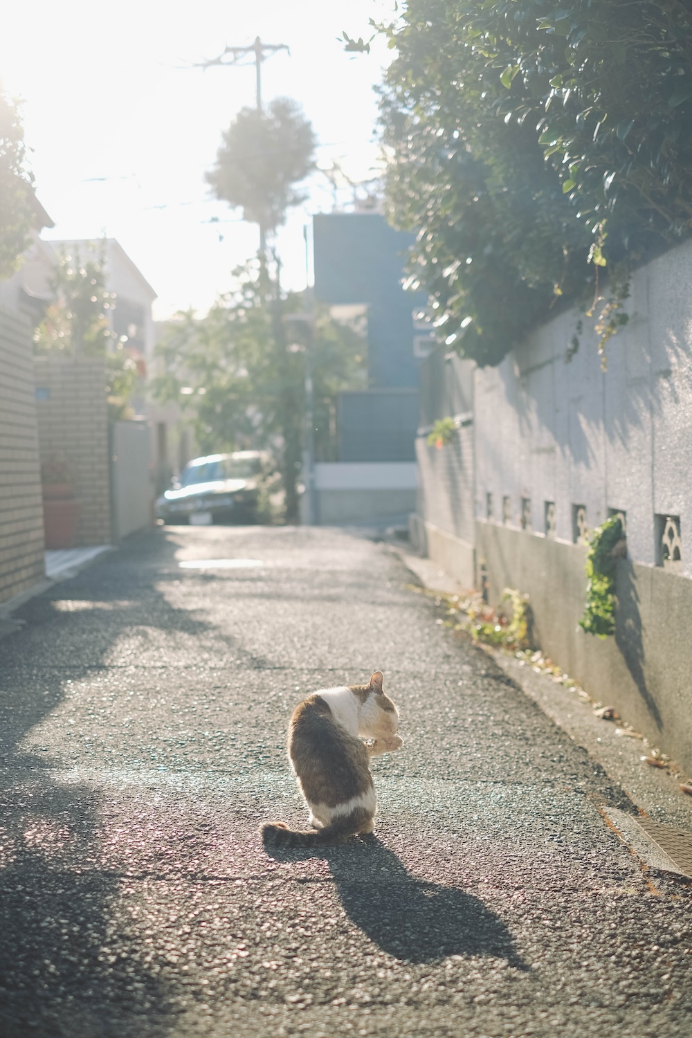 神戶景點 須磨望海坡道推薦13