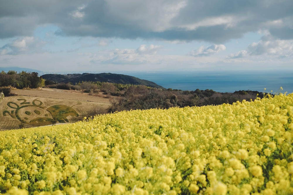 冬季淡路島景點推薦 自駕一日遊20