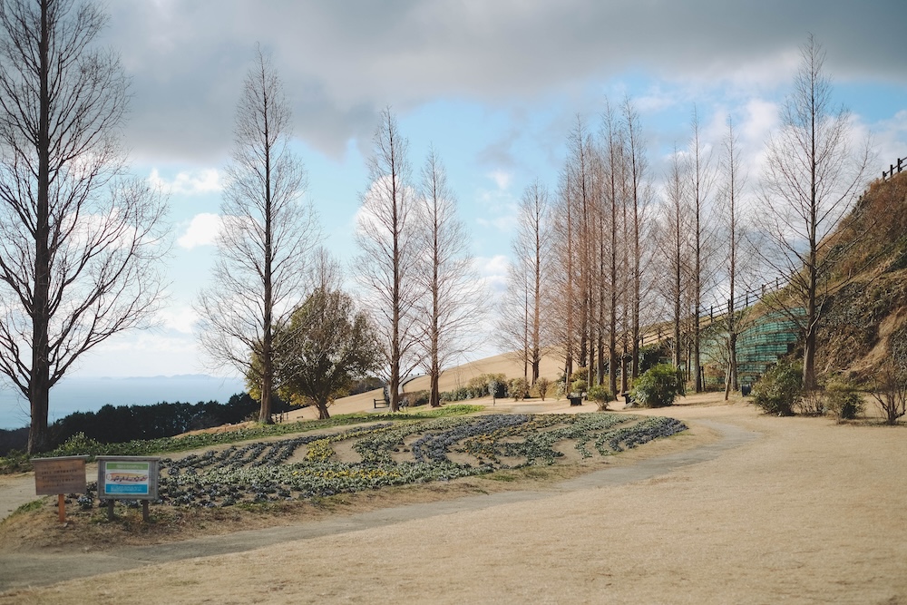 冬季淡路島景點推薦 自駕一日遊26