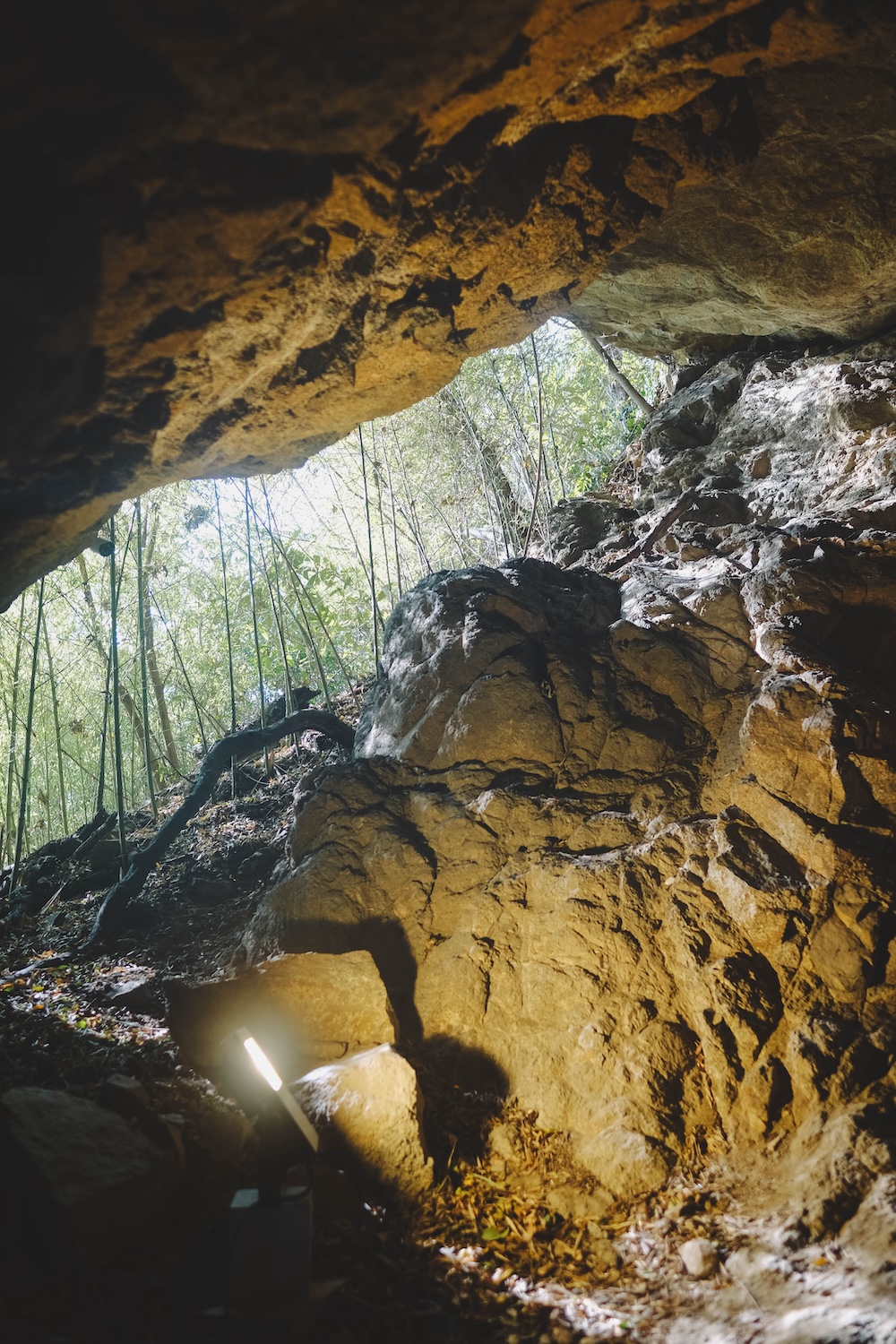 冬季淡路島景點推薦 自駕一日遊43