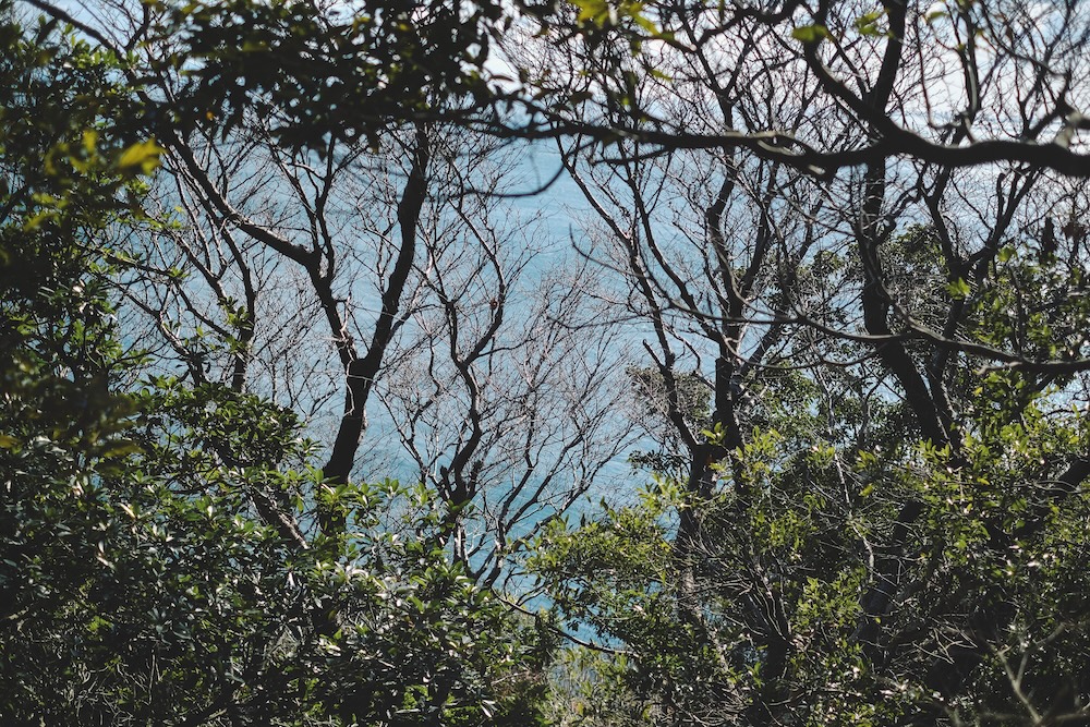 冬季淡路島景點推薦 自駕一日遊56