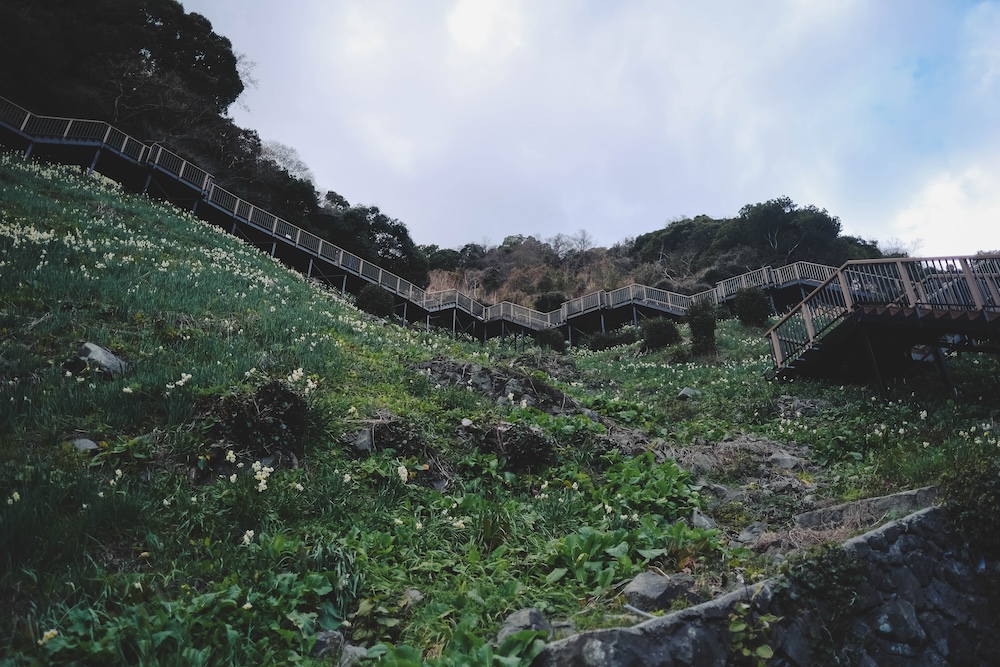 冬季淡路島景點推薦 自駕一日遊68