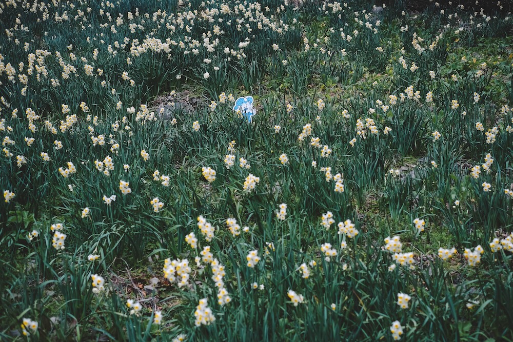 冬季淡路島景點推薦 自駕一日遊72
