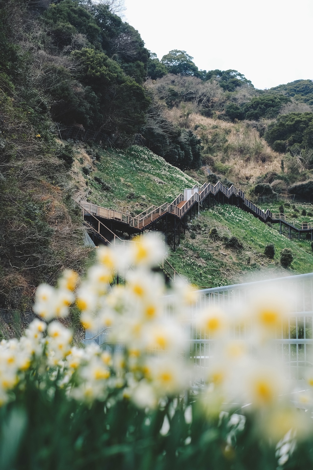 冬季淡路島景點推薦 自駕一日遊74