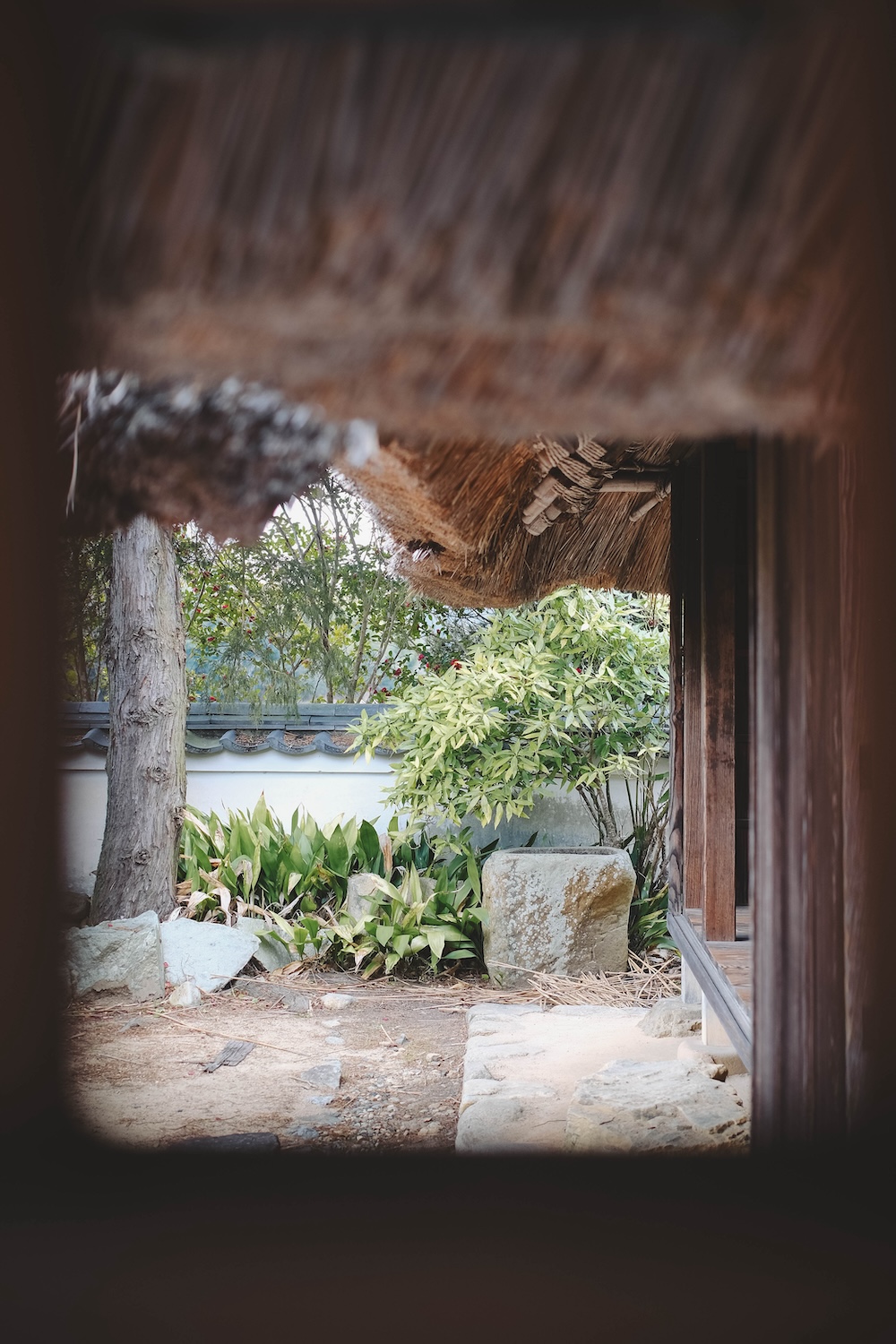 神戶北區・坡道散策｜喫茶店佳林、日本最古民家「箱木千年家」、つくはら湖（BE KOBE）22