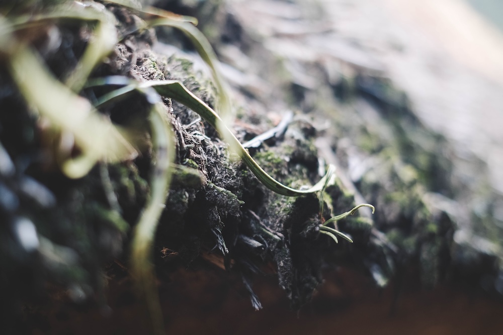 神戶北區・坡道散策｜喫茶店佳林、日本最古民家「箱木千年家」、つくはら湖（BE KOBE）44