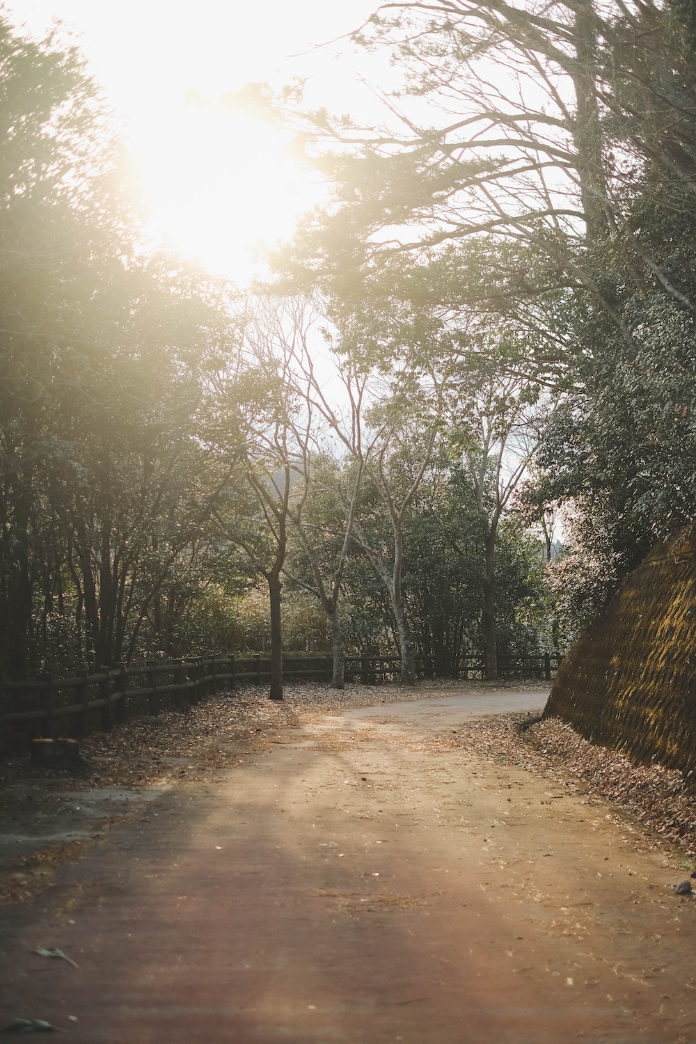 衝原湖「BE KOBE」