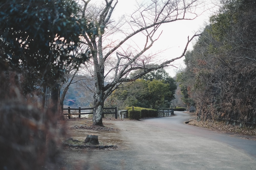 神戶北區・坡道散策｜喫茶店佳林、日本最古民家「箱木千年家」、つくはら湖（BE KOBE）56