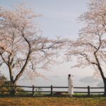 瀨戶內海2天1夜跳島追櫻｜從尾島向島、生口島至紫雲出山，橫跨4縣春日絕景之旅