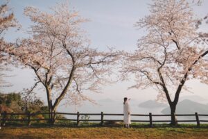 瀨戶內海2天1夜跳島追櫻｜從尾島向島、生口島至紫雲出山，橫跨4縣春日絕景之旅