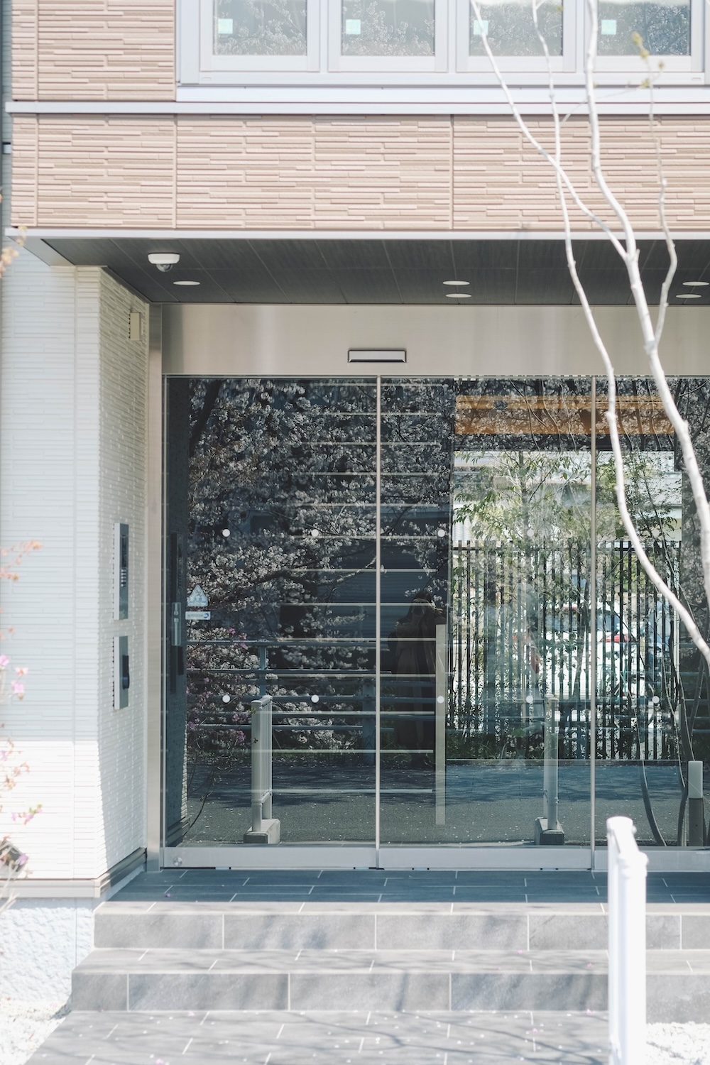 奈良 佐保川 櫻花 景點44