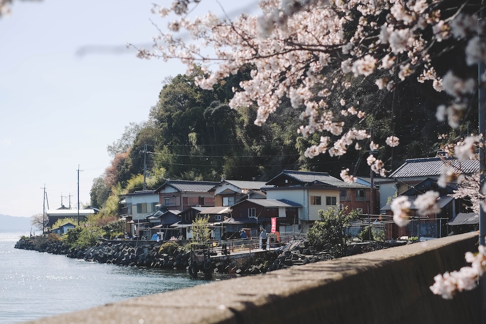 滋賀近江八幡・沖島｜春季琵琶湖櫻花絕景，承載石材繁榮記憶的小島