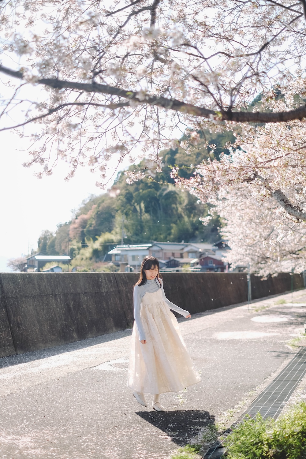 滋賀近江八幡・沖島｜春季琵琶湖櫻花絕景，承載石材繁榮記憶的小島115