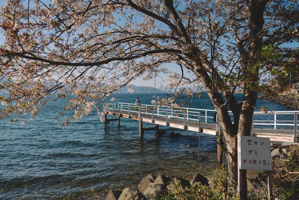 滋賀近江八幡・沖島｜春季琵琶湖櫻花絕景，承載石材繁榮記憶的小島22