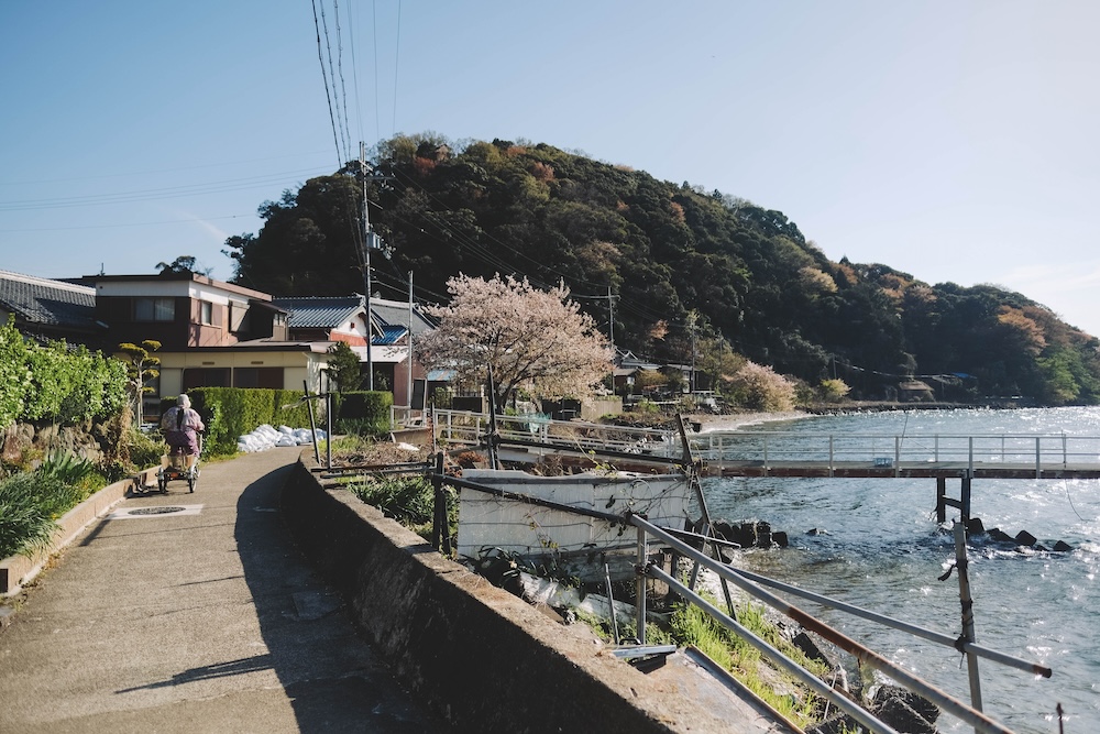 滋賀近江八幡・沖島｜春季琵琶湖櫻花絕景，承載石材繁榮記憶的小島23