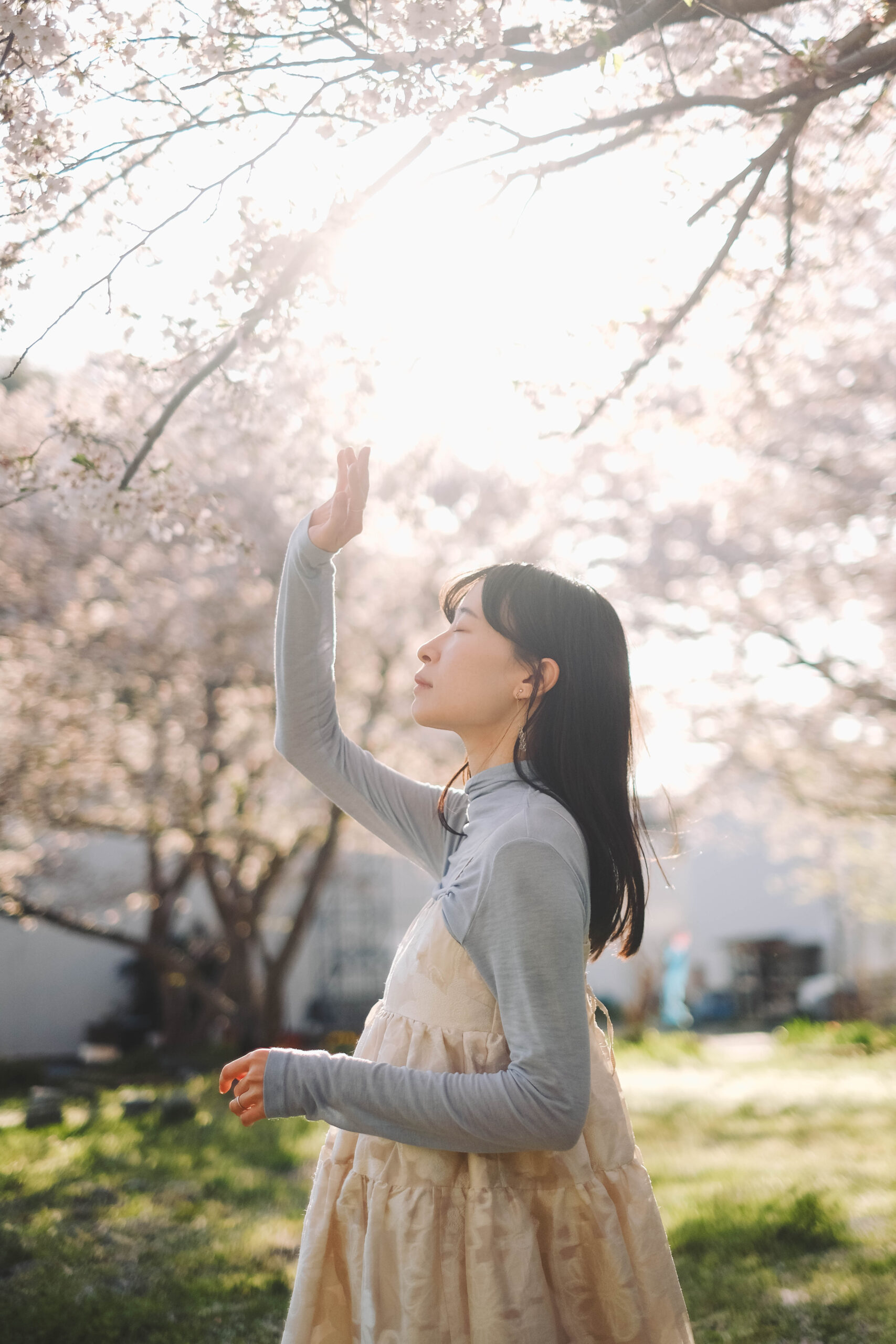 滋賀近江八幡・沖島｜春季琵琶湖櫻花絕景，承載石材繁榮記憶的小島48