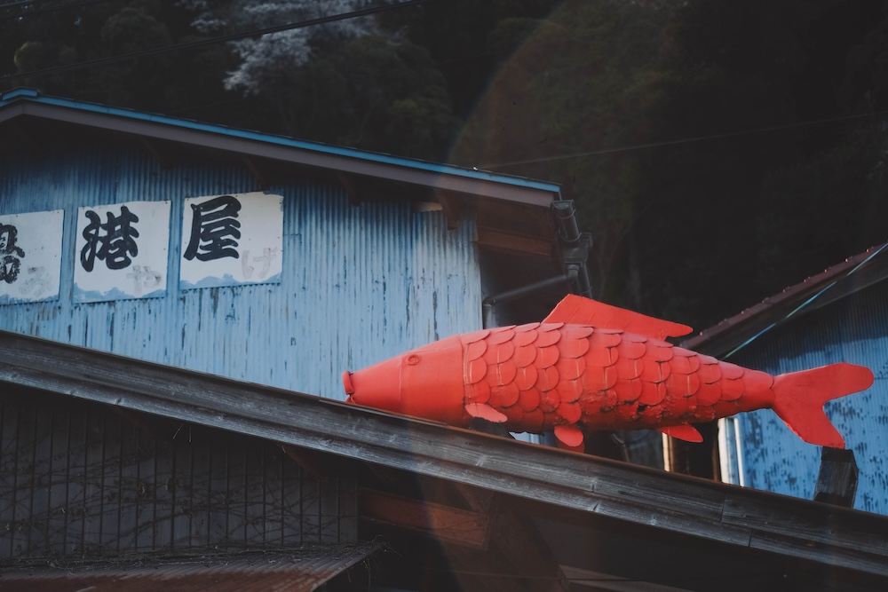滋賀近江八幡・沖島｜春季琵琶湖櫻花絕景，承載石材繁榮記憶的小島49