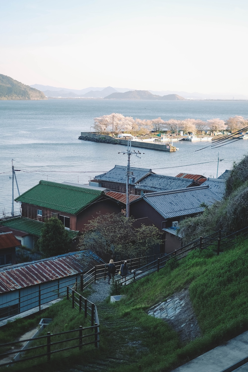 滋賀近江八幡・沖島｜春季琵琶湖櫻花絕景，承載石材繁榮記憶的小島64