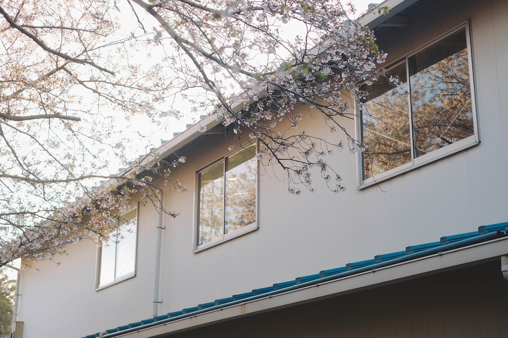 滋賀近江八幡・沖島｜春季琵琶湖櫻花絕景，承載石材繁榮記憶的小島66