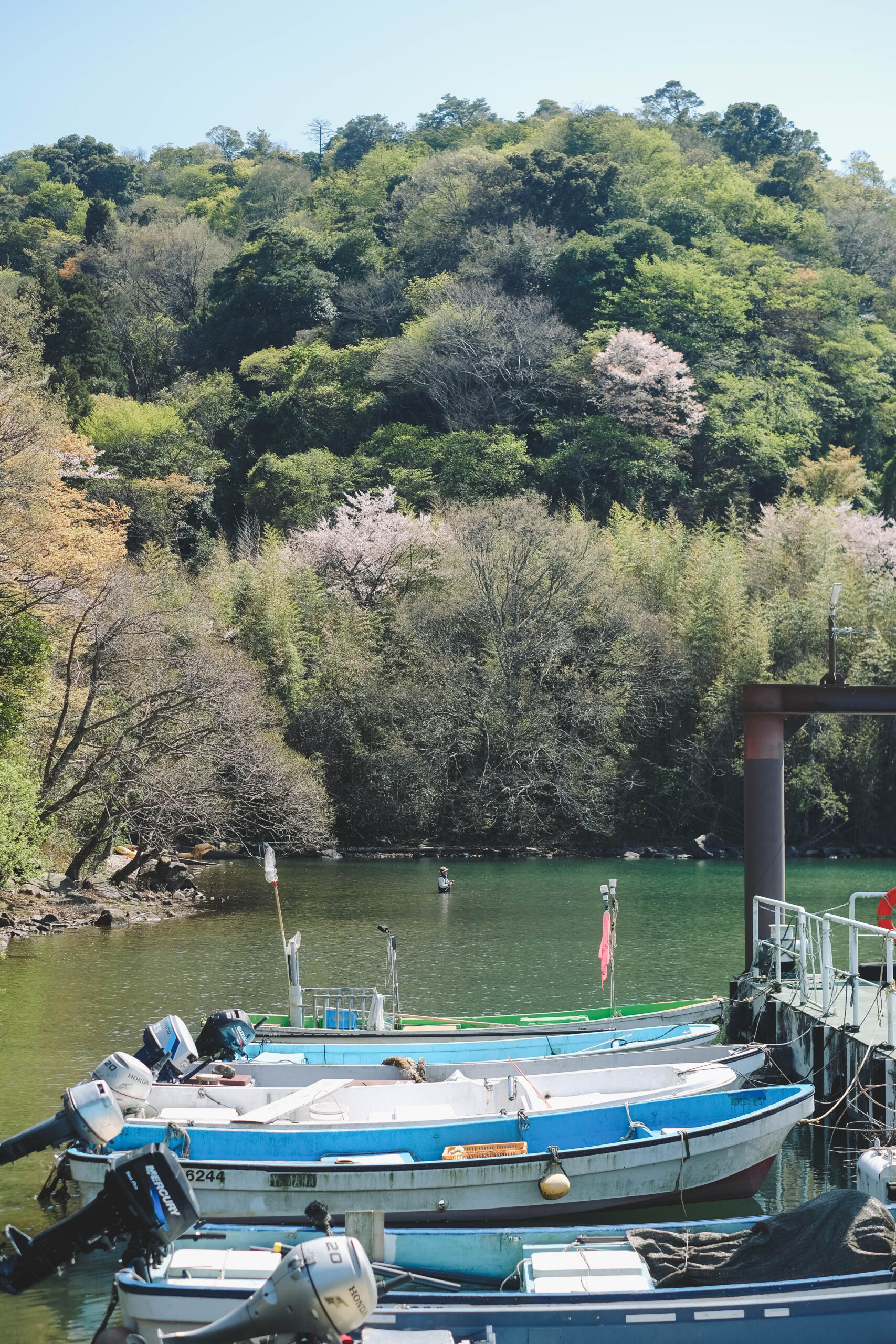 滋賀近江八幡・沖島｜春季琵琶湖櫻花絕景，承載石材繁榮記憶的小島75