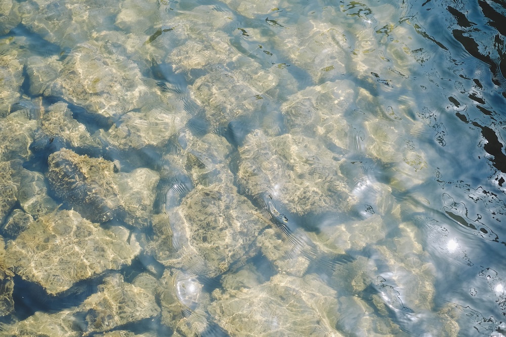 滋賀近江八幡・沖島｜春季琵琶湖櫻花絕景，承載石材繁榮記憶的小島77