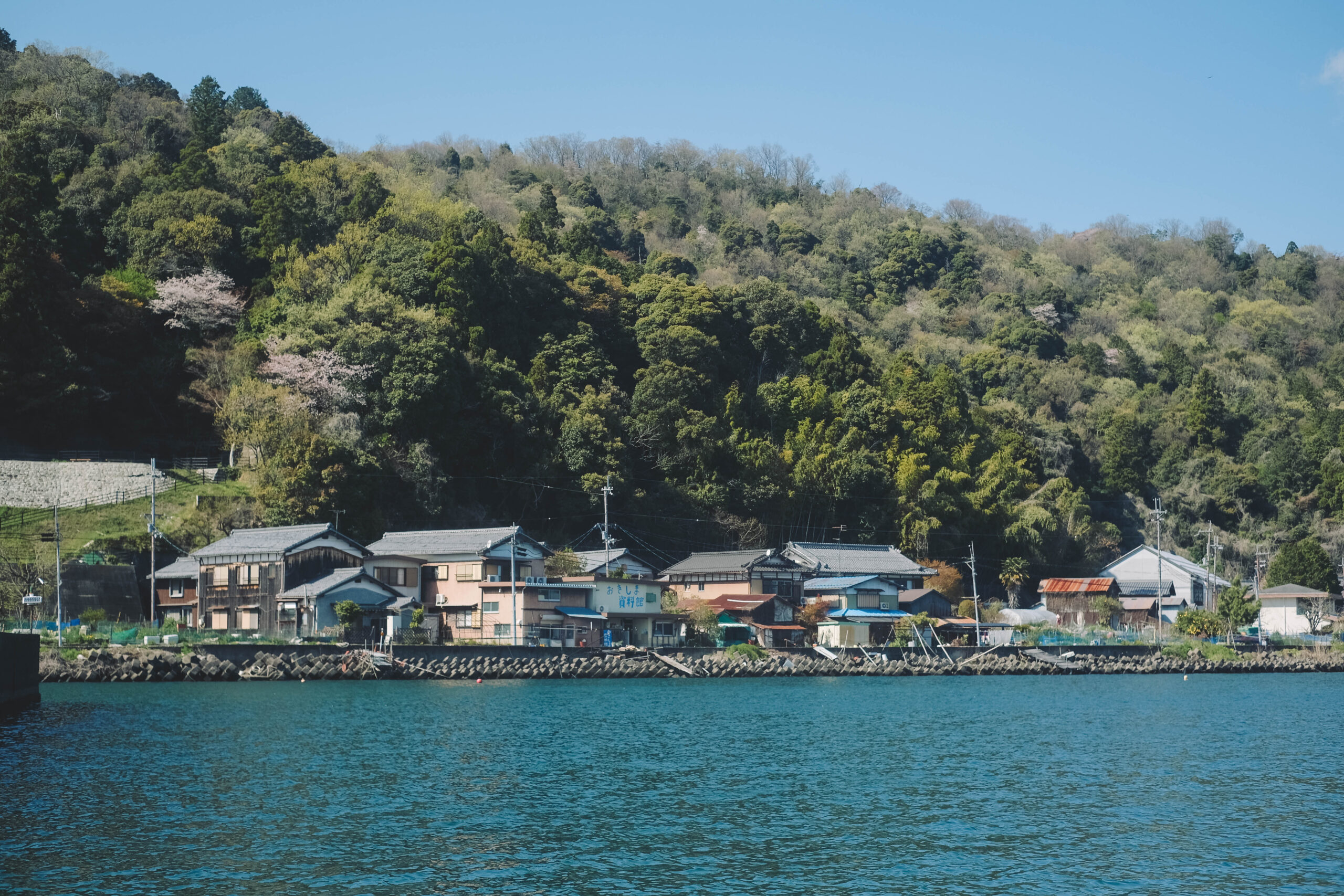 滋賀近江八幡・沖島｜春季琵琶湖櫻花絕景，承載石材繁榮記憶的小島87