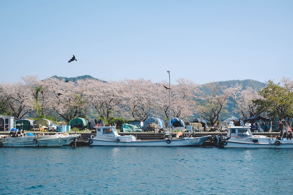 滋賀近江八幡・沖島｜春季琵琶湖櫻花絕景，承載石材繁榮記憶的小島88