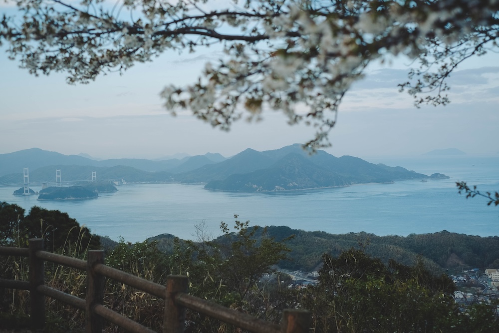 瀨戶內海2天1夜跳島追櫻｜從尾島向島、生口島至紫雲出山，橫跨4縣春日絕景之旅207