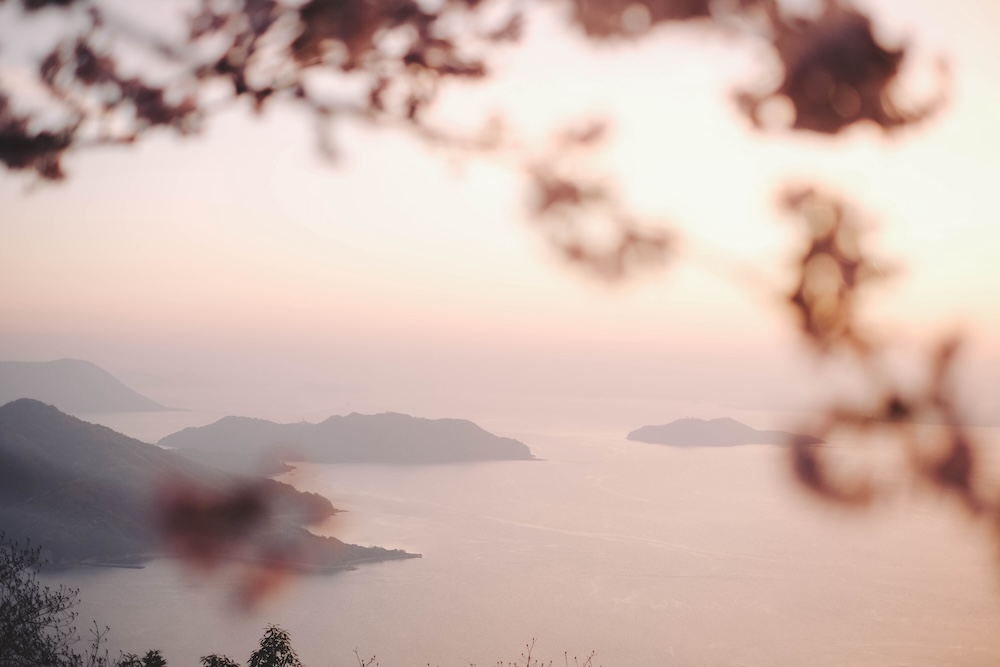 瀨戶內海2天1夜跳島追櫻｜從尾島向島、生口島至紫雲出山，橫跨4縣春日絕景之旅241
