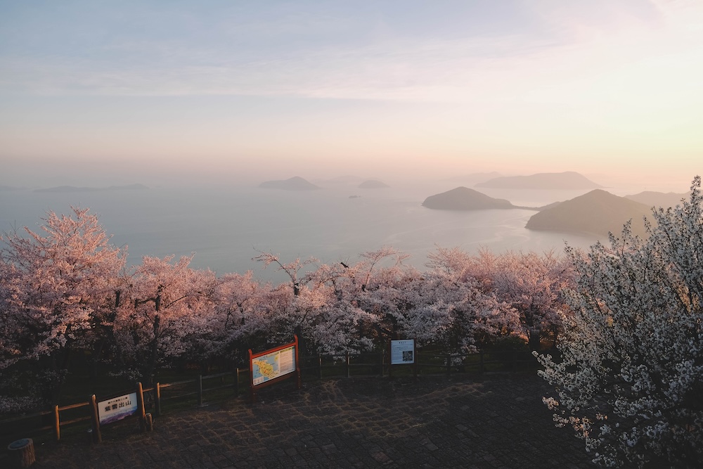 瀨戶內海2天1夜跳島追櫻｜從尾島向島、生口島至紫雲出山，橫跨4縣春日絕景之旅259