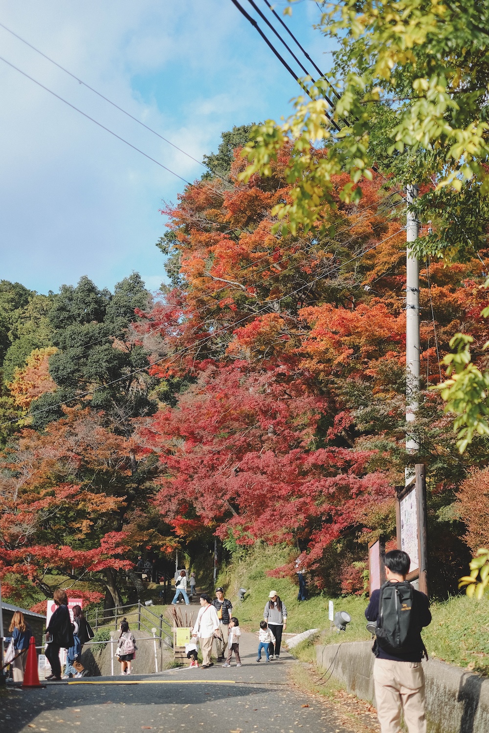 兵庫宍粟市・最上山紅葉公園｜1768年創業的老字號酒廠「老松酒造」16