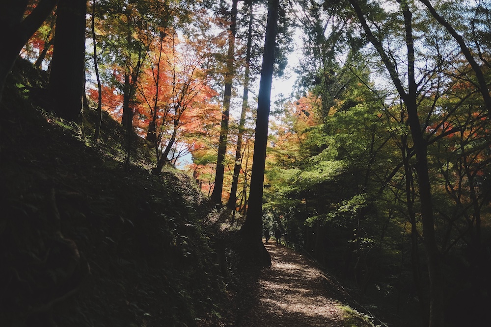 兵庫宍粟市・最上山紅葉公園｜1768年創業的老字號酒廠「老松酒造」26