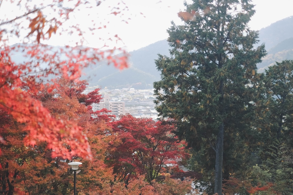 兵庫宍粟市・最上山紅葉公園｜1768年創業的老字號酒廠「老松酒造」30