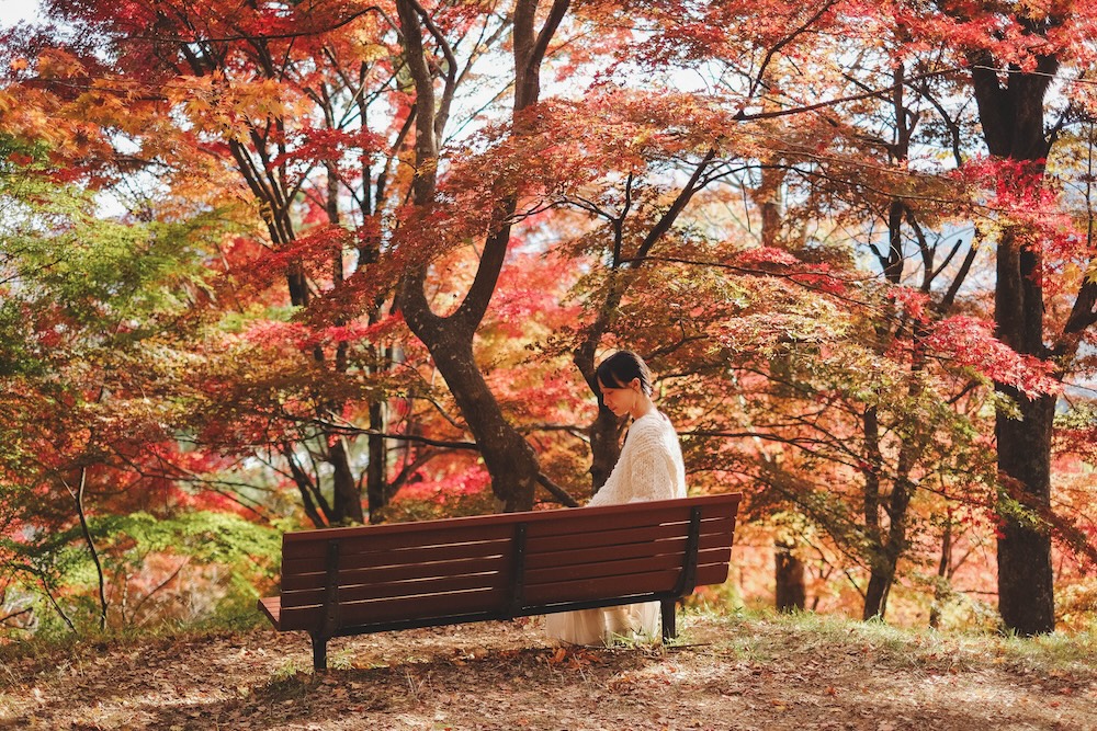兵庫宍粟市・最上山紅葉公園｜1768年創業的老字號酒廠「老松酒造」36