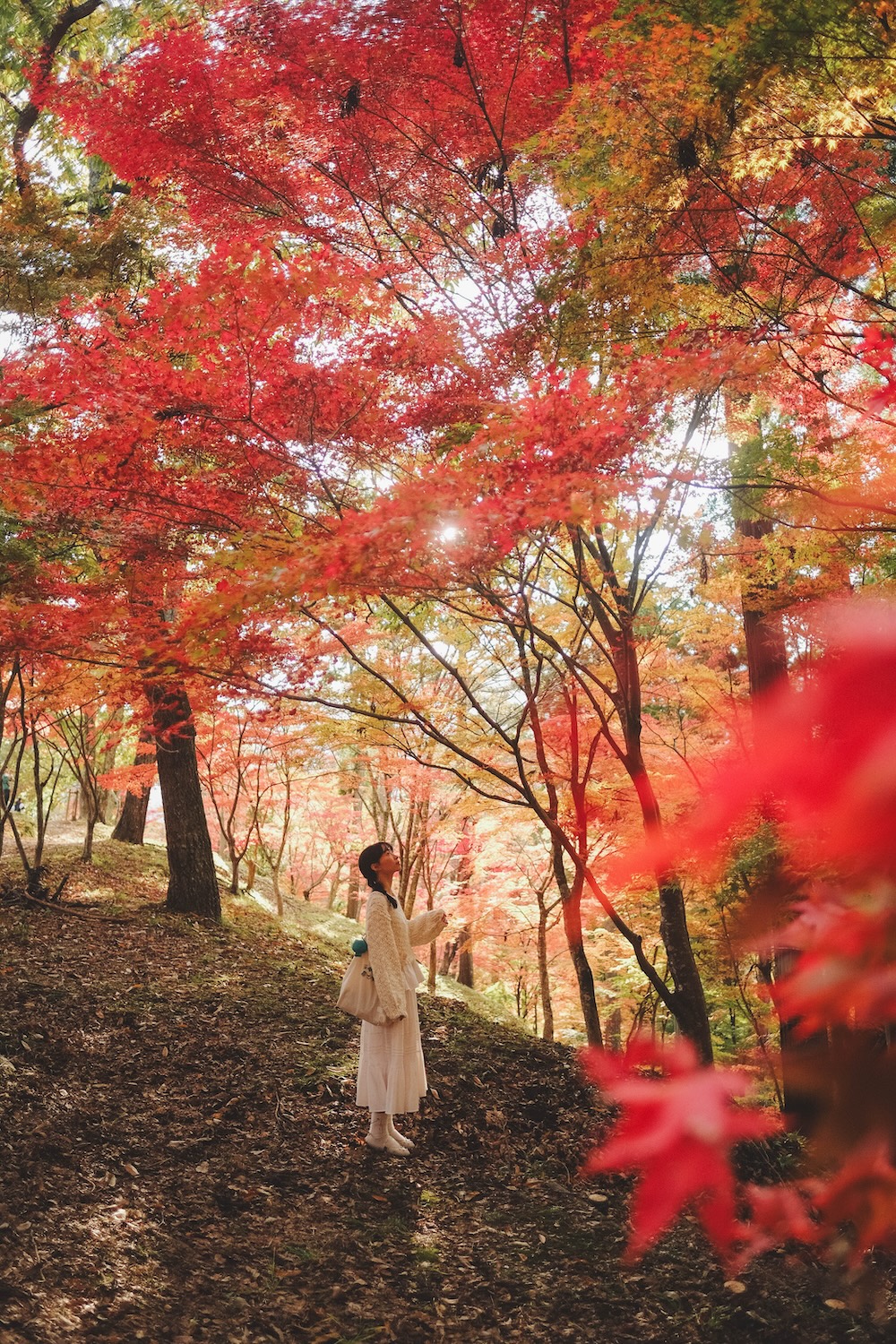 兵庫宍粟市・最上山紅葉公園｜1768年創業的老字號酒廠「老松酒造」82